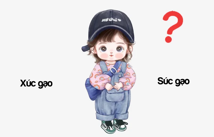 Xúc gạo hay Súc gạo đâu là từ viết đúng chính tả?