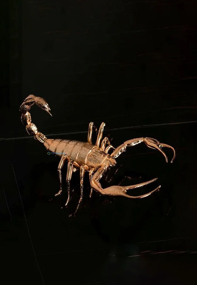 Hình nền Bọ Cạp đẹp cho điện thoại