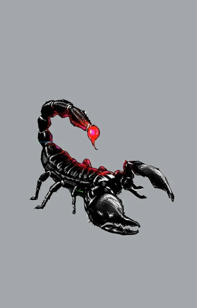 Hình nền Bọ Cạp đẹp cho điện thoại