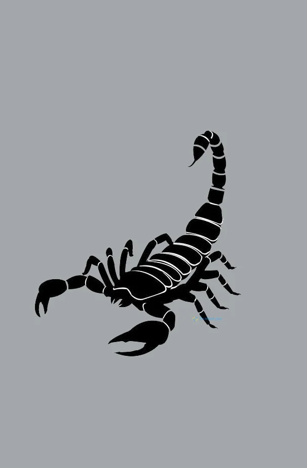 Hình nền Bọ Cạp đẹp cho điện thoại