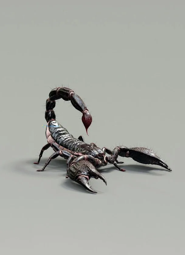 Hình nền Bọ Cạp đẹp cho điện thoại