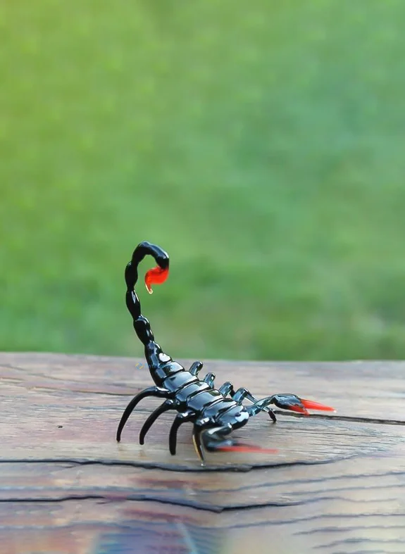 Hình nền Bọ Cạp đẹp cho điện thoại