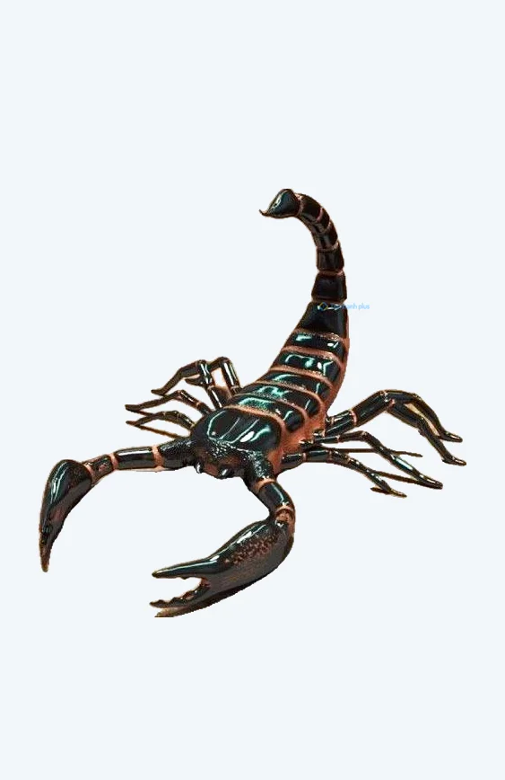 Hình nền Bọ Cạp đẹp cho điện thoại