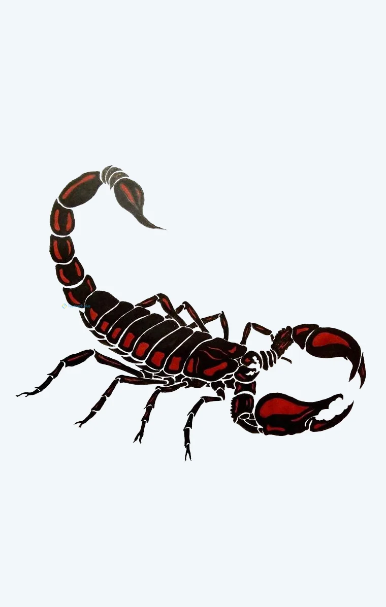 Hình nền Bọ Cạp đẹp cho điện thoại