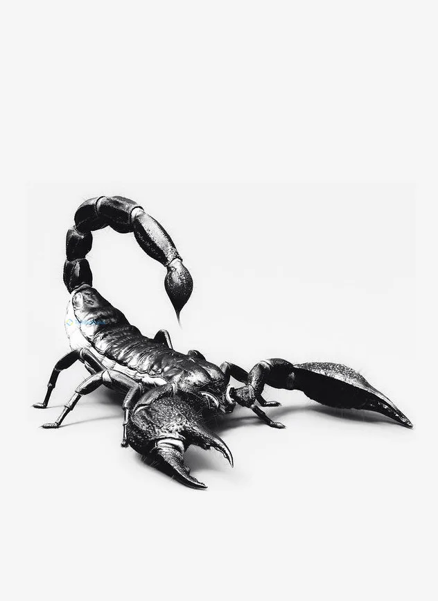 Hình nền Bọ Cạp đẹp cho điện thoại