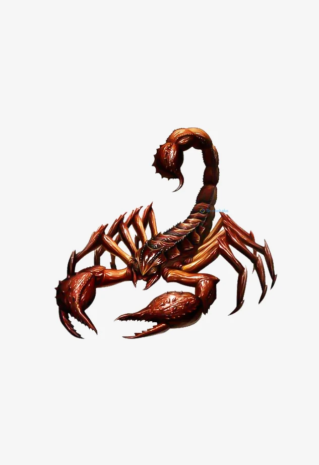 Hình nền Bọ Cạp đẹp cho điện thoại