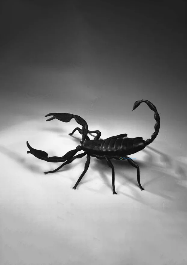 Hình nền Bọ Cạp đẹp cho điện thoại