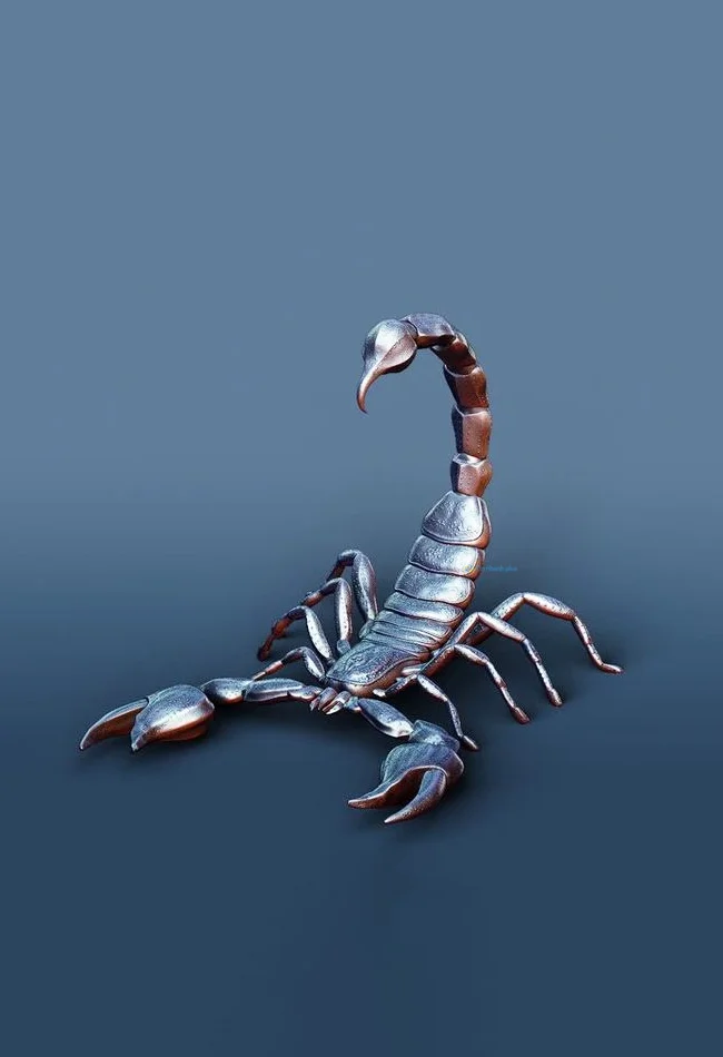 Hình nền Bọ Cạp đẹp cho điện thoại