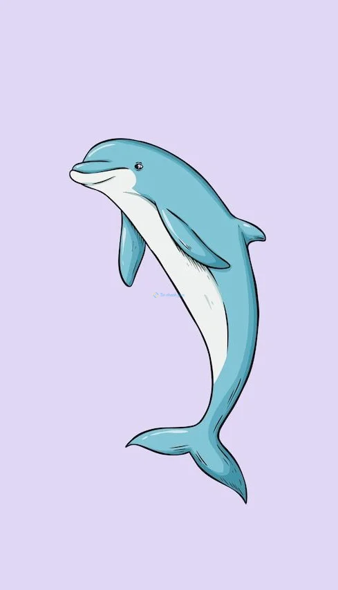 Hình nền cá Heo cute cho điện thoại