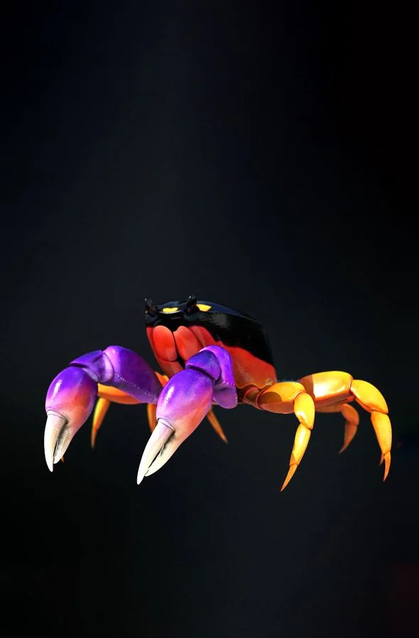 Hình nền con Cua cute cho điện thoại