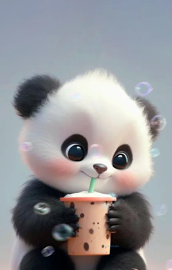 Hình nền Gấu Trúc cute cho điện thoại