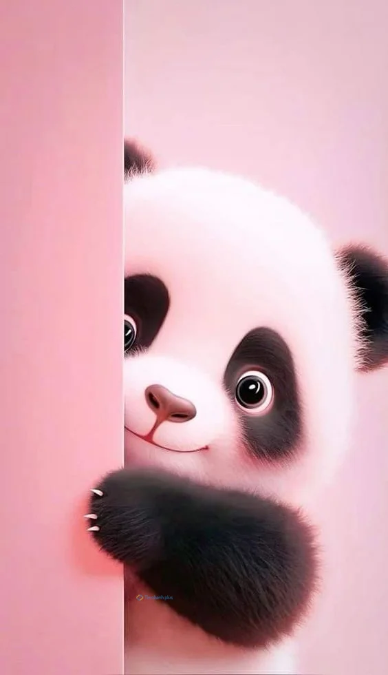 Hình nền Gấu Trúc cute cho điện thoại