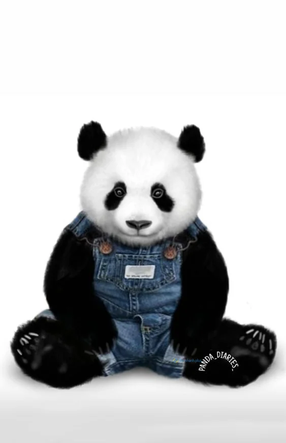 Hình nền Gấu Trúc cute cho điện thoại