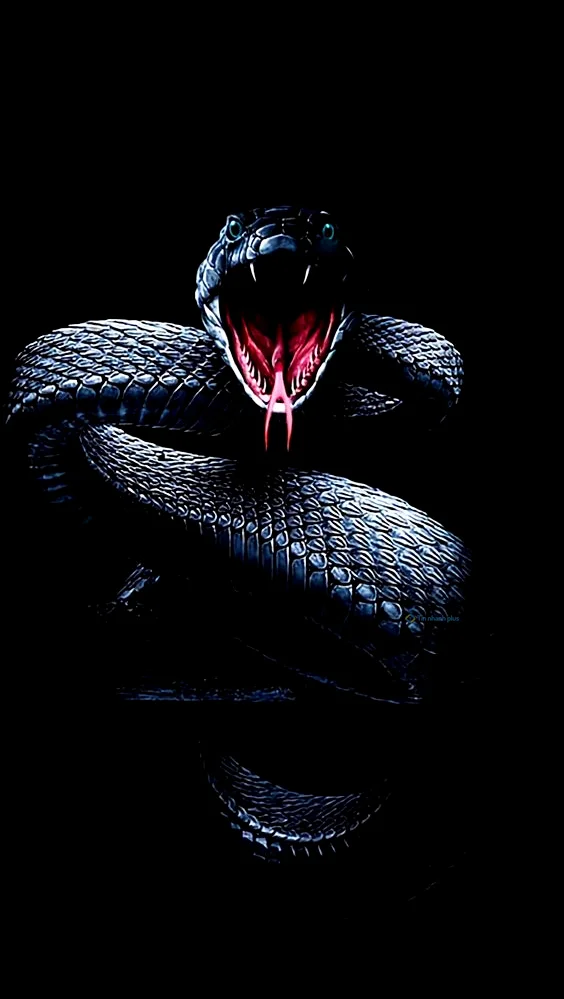 Hình nền con Rắn cho điện thoại