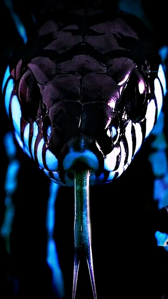 Hình nền con Rắn cho điện thoại