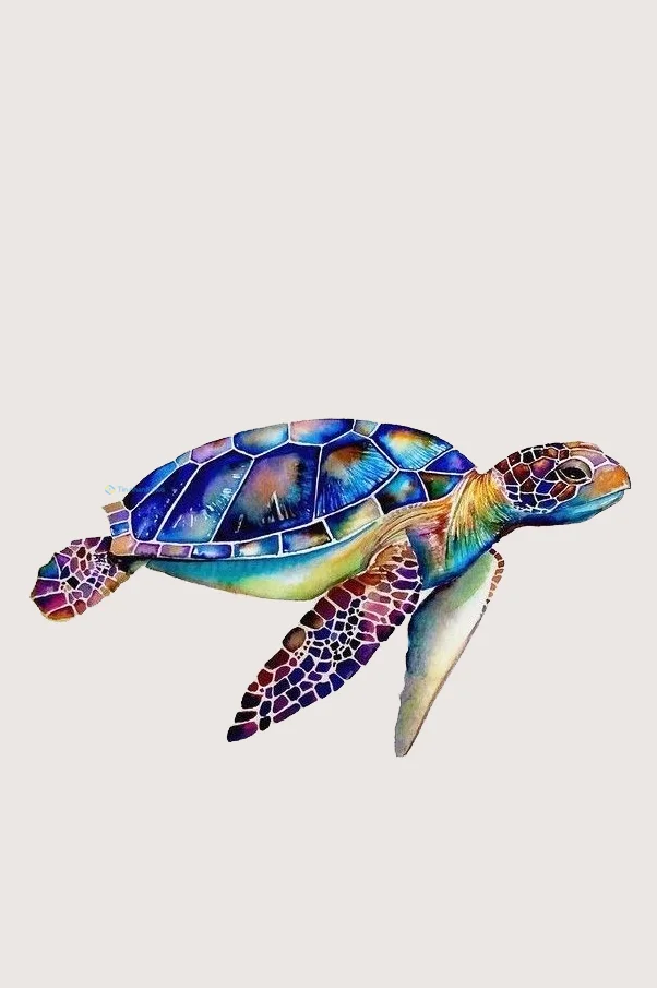 Hình nền con Rùa cho điện thoại