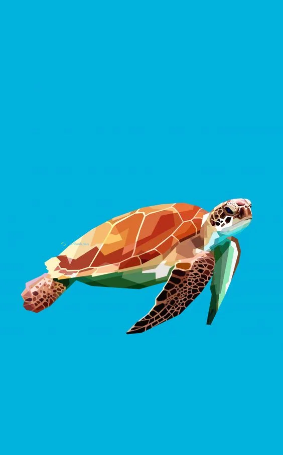 Hình nền con Rùa cho điện thoại