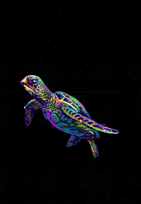 Hình nền con Rùa cute cho điện thoại