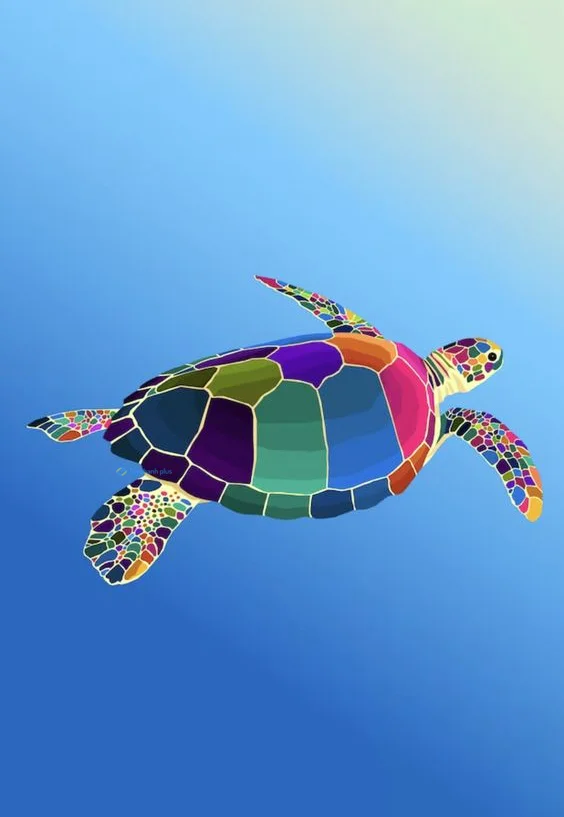 Hình nền con Rùa cute cho điện thoại