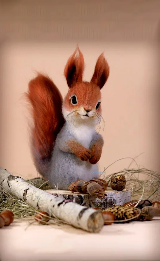 Hình nền con Sóc cute cho điện thoại