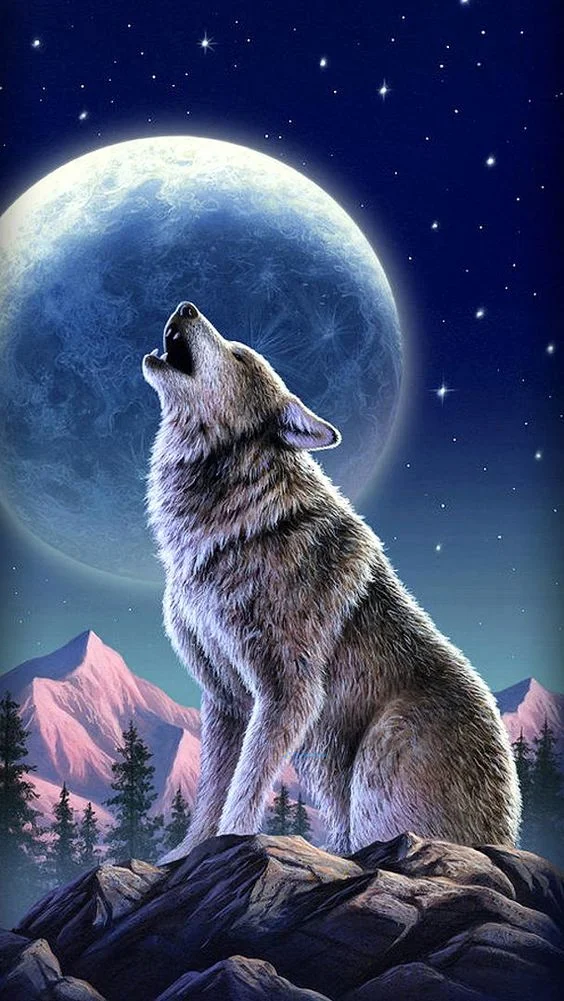 Hình nền con Soi cho điện thoại