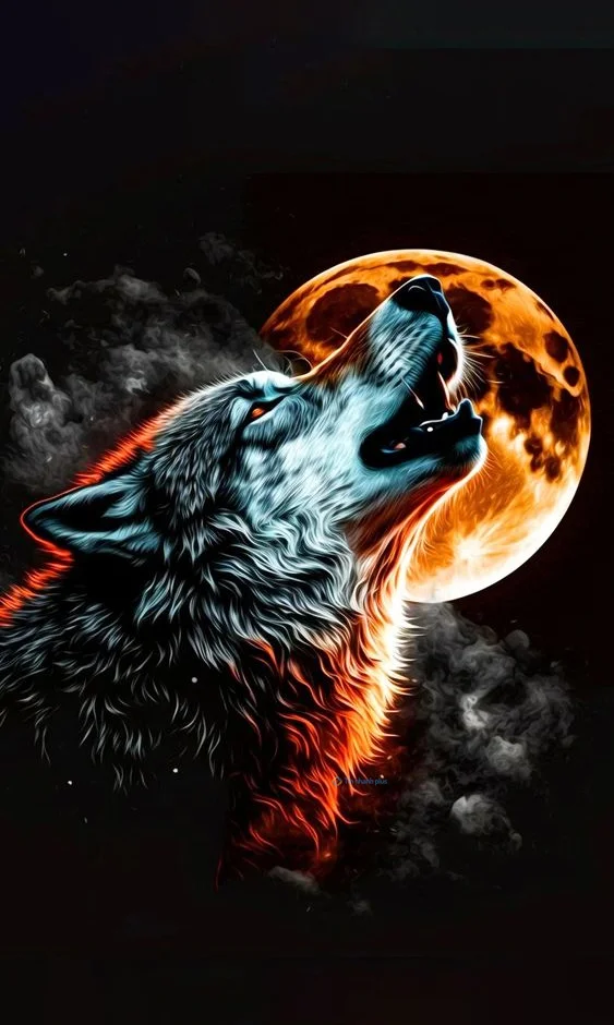 Hình nền con Soi ngầu cho điện thoại