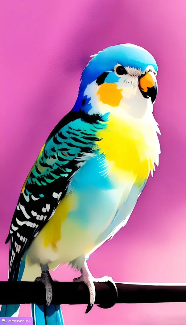 Hình nền con Vẹt cho điện thoại