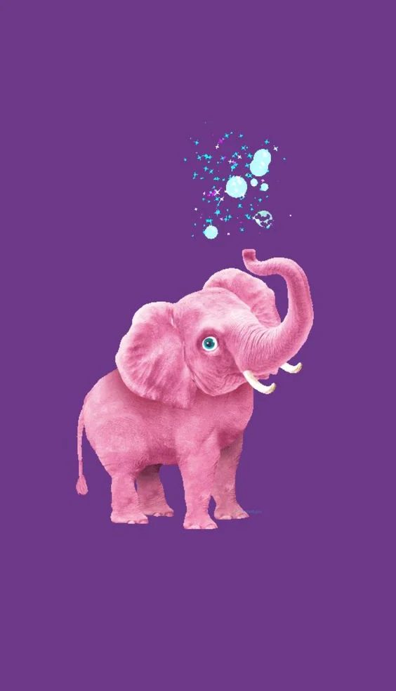 Hình nền con voi cute cho điện thoại