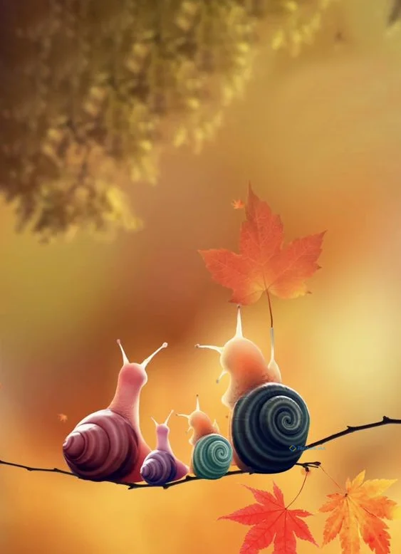 Hình nền Ốc Sên cho điện thoại