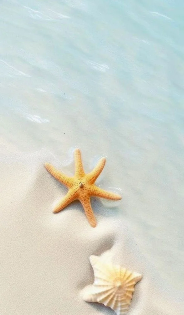 Hình nền Sao Biển cho điện thoại