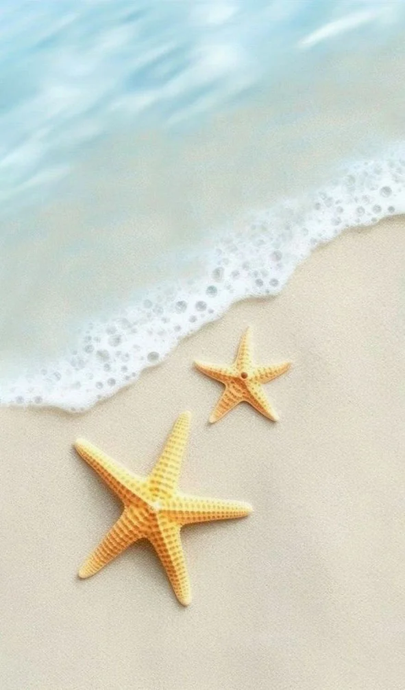 Hình nền Sao Biển cho điện thoại