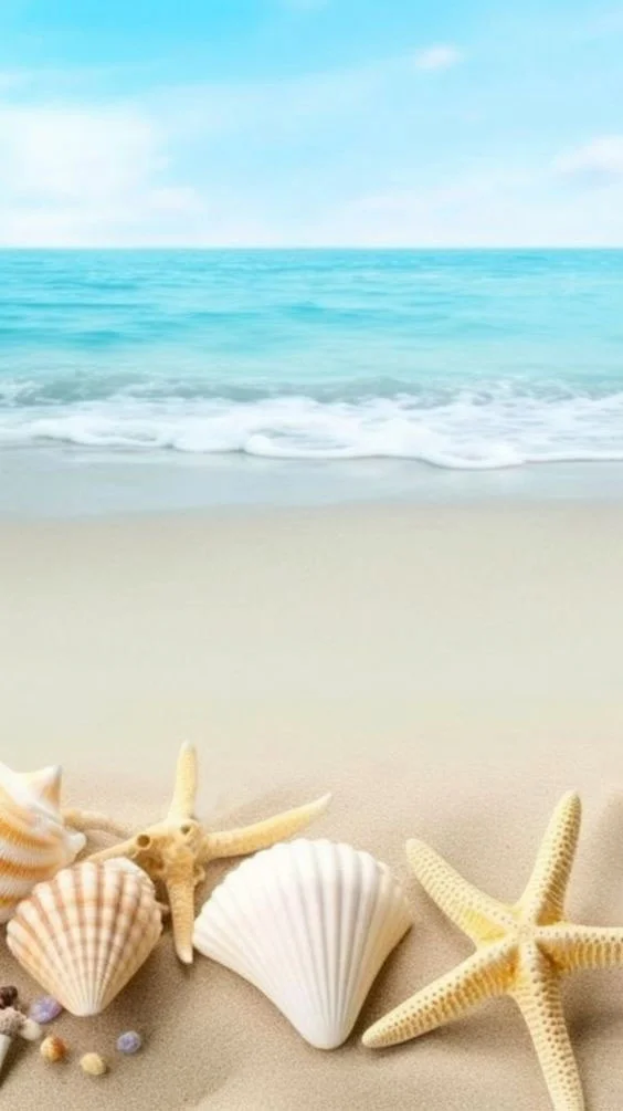 Hình nền Sao Biển cho điện thoại