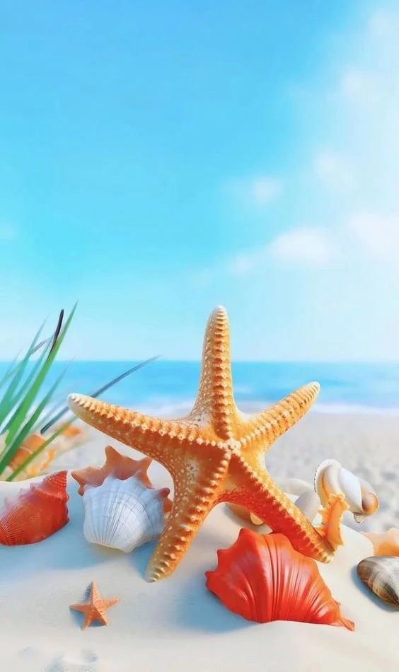 Hình nền Sao Biển cho điện thoại