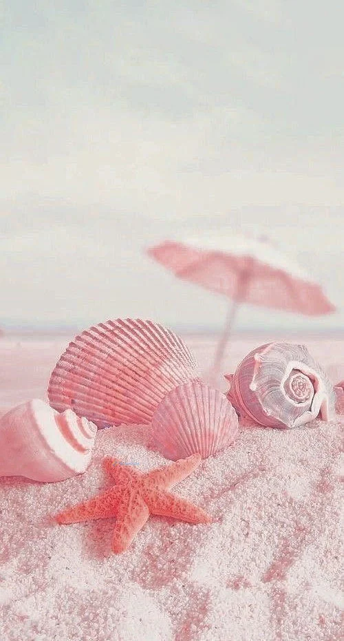 Hình nền Sao Biển cho điện thoại