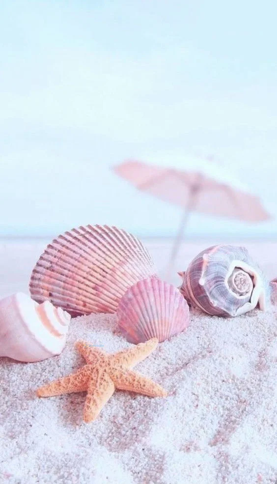 Hình nền Sao Biển cho điện thoại