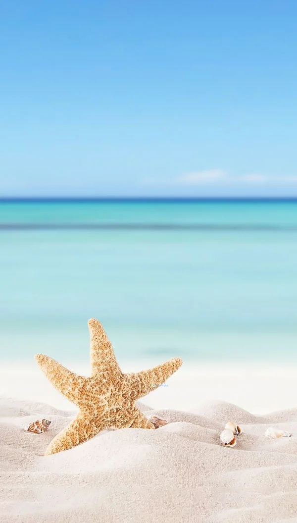 Hình nền Sao Biển cho điện thoại