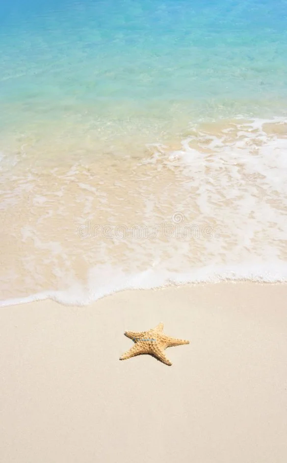 Hình nền Sao Biển cho điện thoại