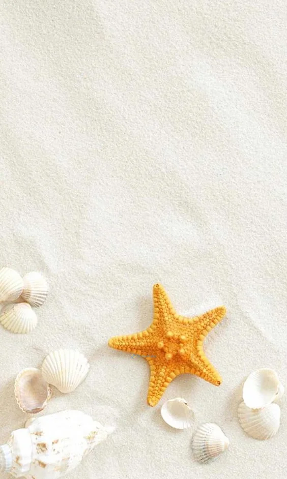 Hình nền Sao Biển cho điện thoại