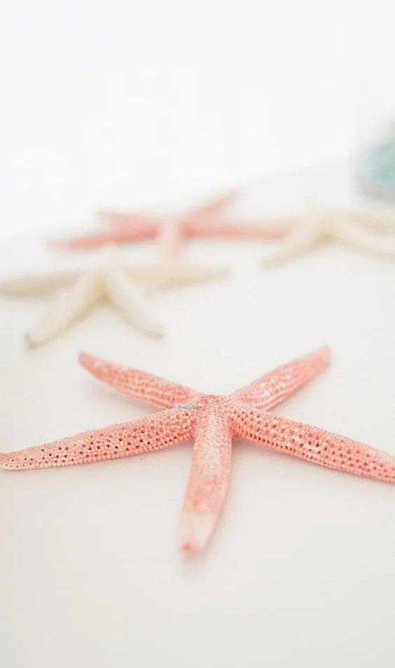 Hình nền Sao Biển cho điện thoại