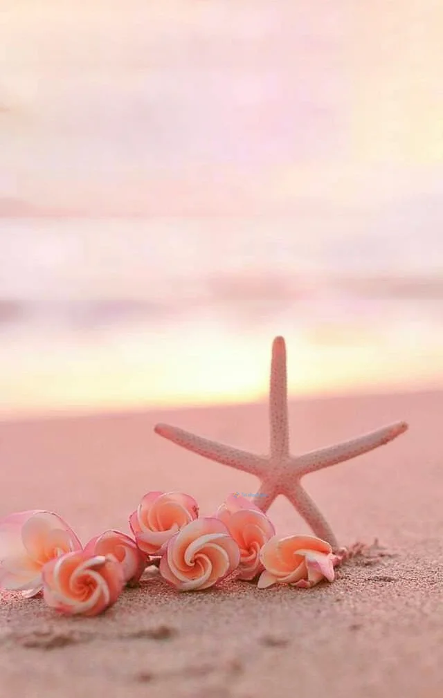 Hình nền Sao Biển cho điện thoại