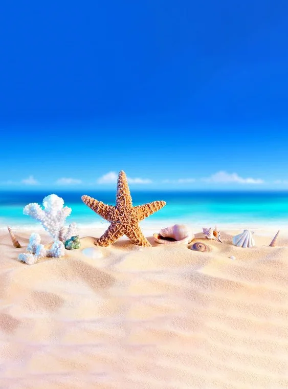 Hình nền Sao Biển cho điện thoại