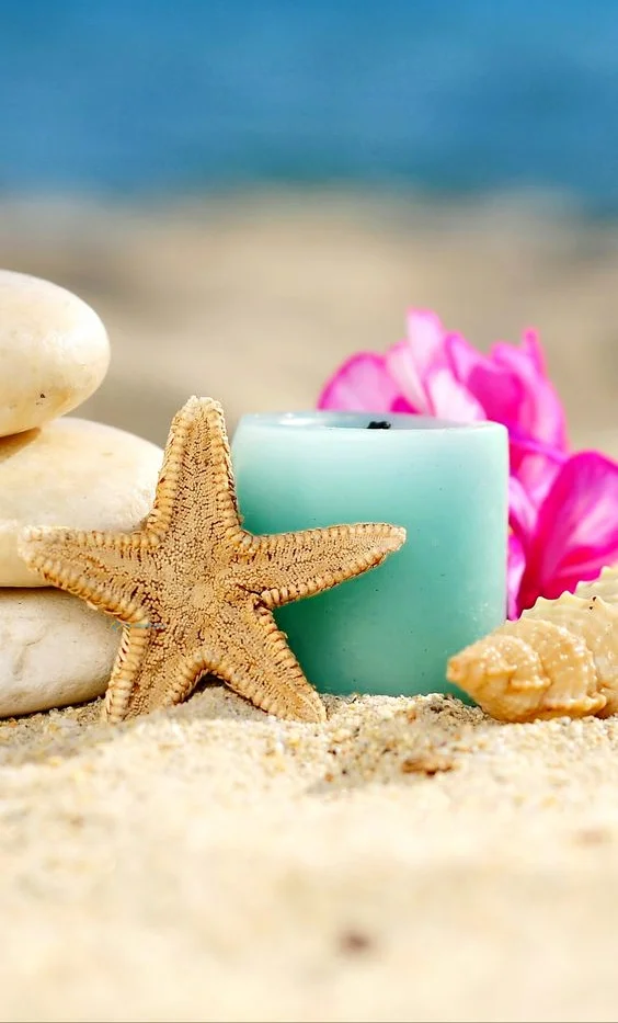 Hình nền Sao Biển cho điện thoại