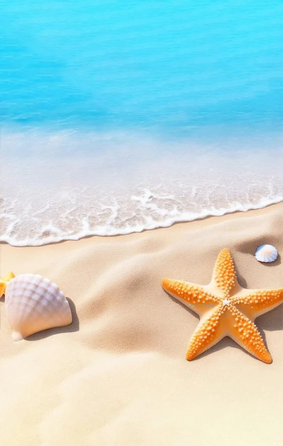 Hình nền Sao Biển cho điện thoại