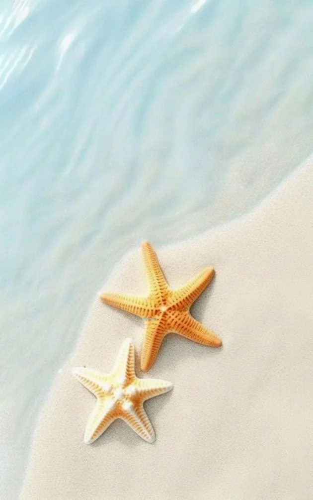 Hình nền Sao Biển cho điện thoại