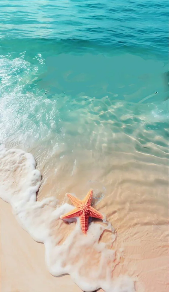 Hình nền Sao Biển cho điện thoại