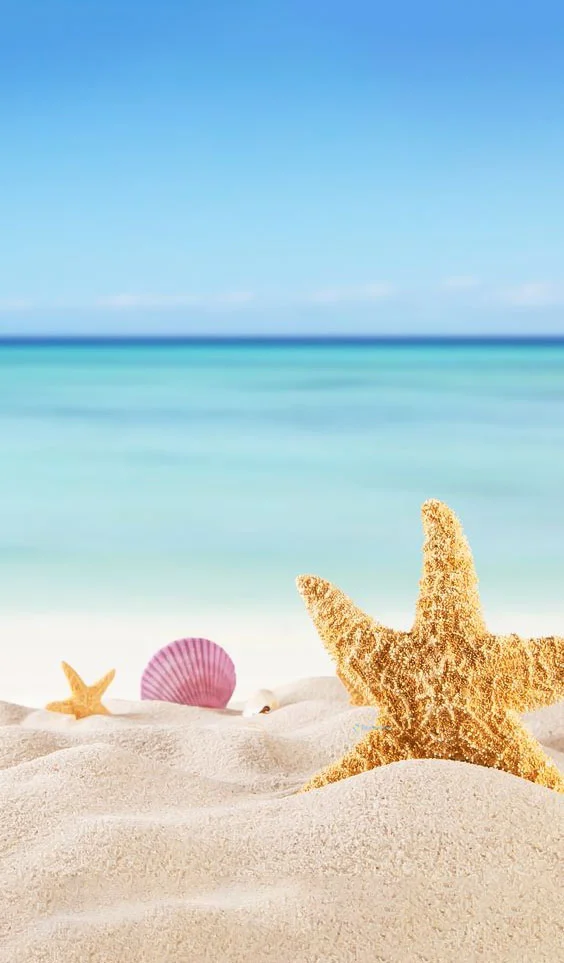 Hình nền Sao Biển cho điện thoại