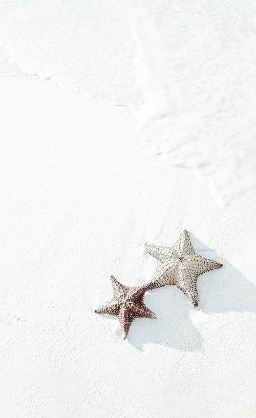 Hình nền Sao Biển trên cát cho điện thoại
