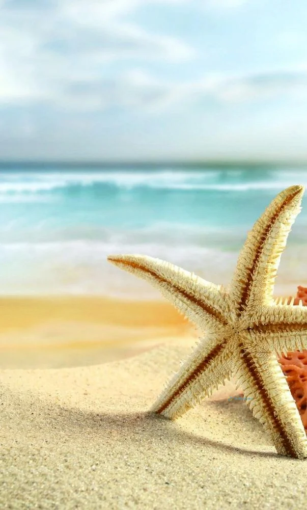 Hình nền Sao Biển trên cát cho điện thoại