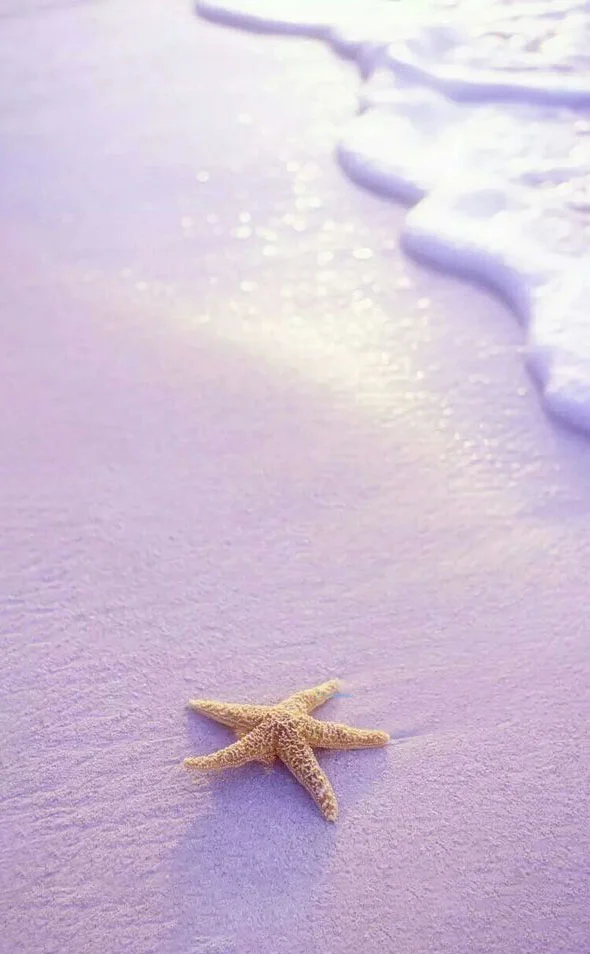 Hình nền Sao Biển trên cát cho điện thoại