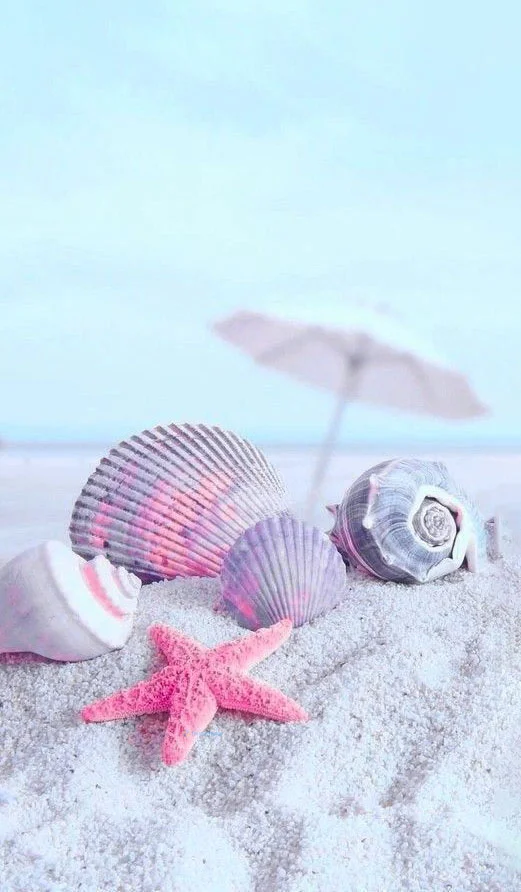 Hình nền Sao Biển trên cát cho điện thoại